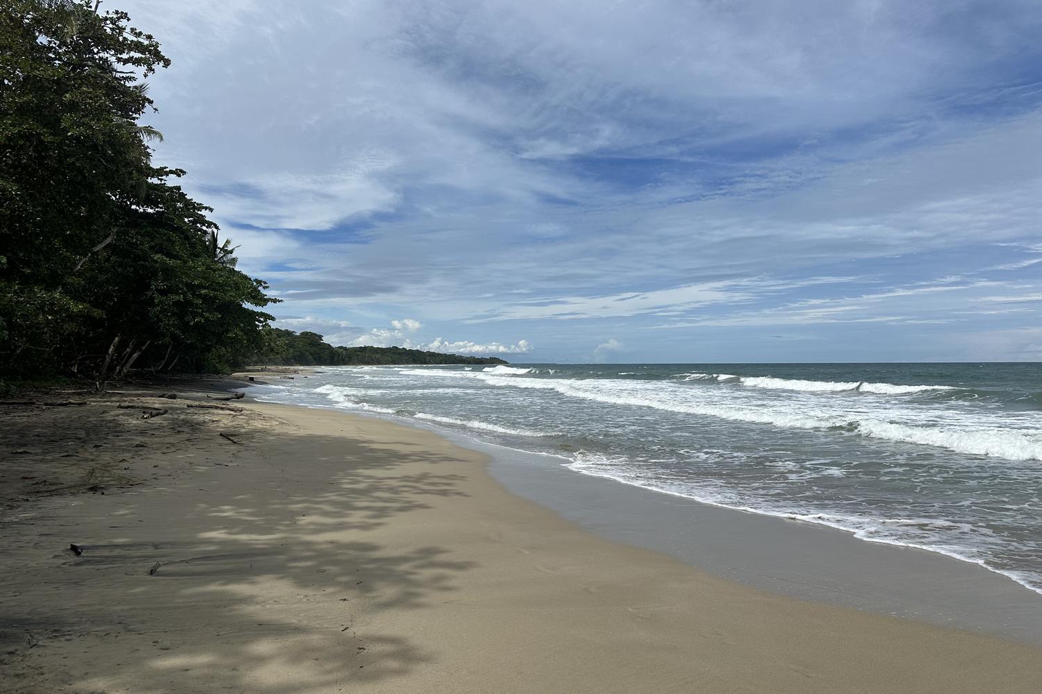 Empty beach with jungle line, Isla Colon