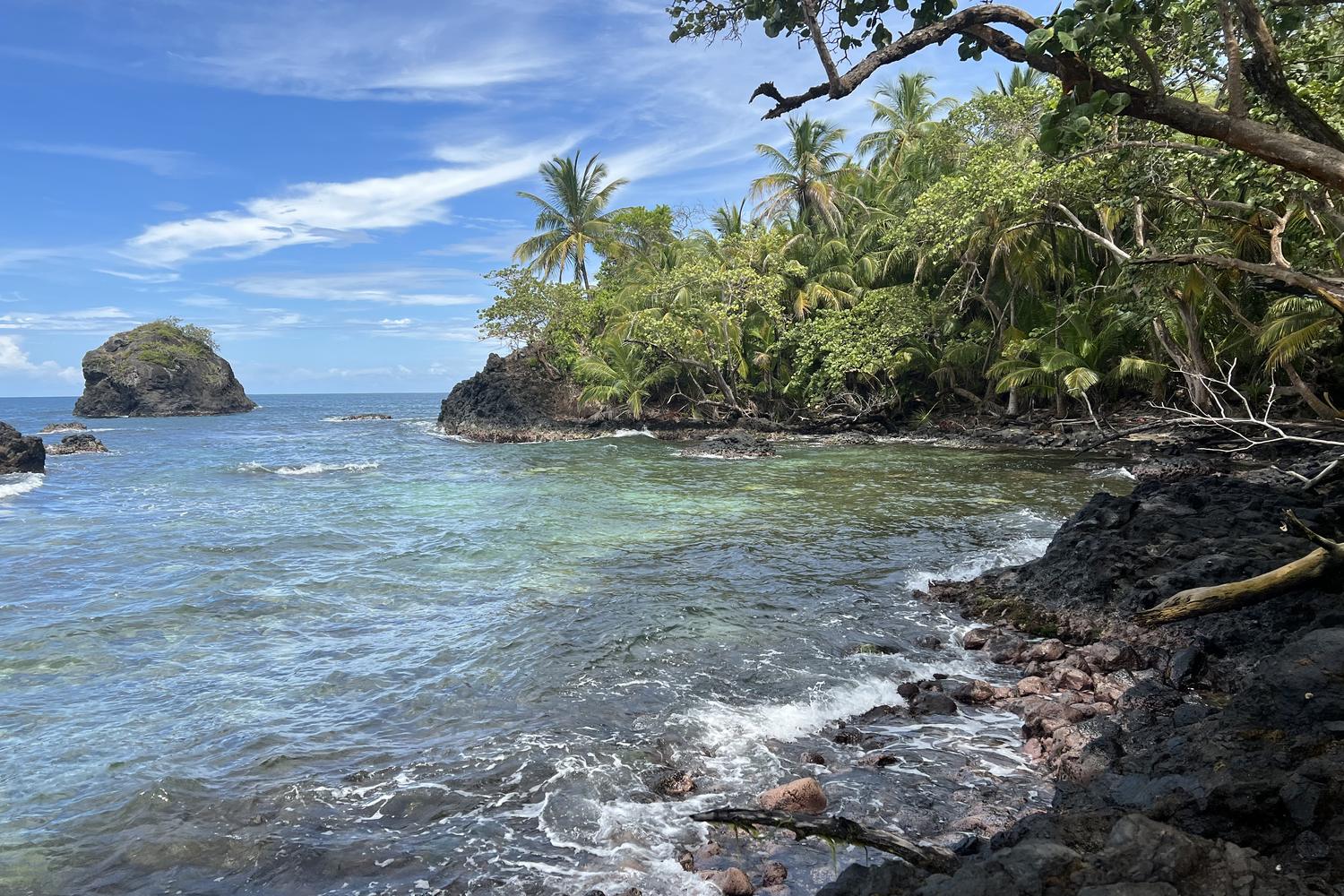Rocky jungle coastline with offshore islet