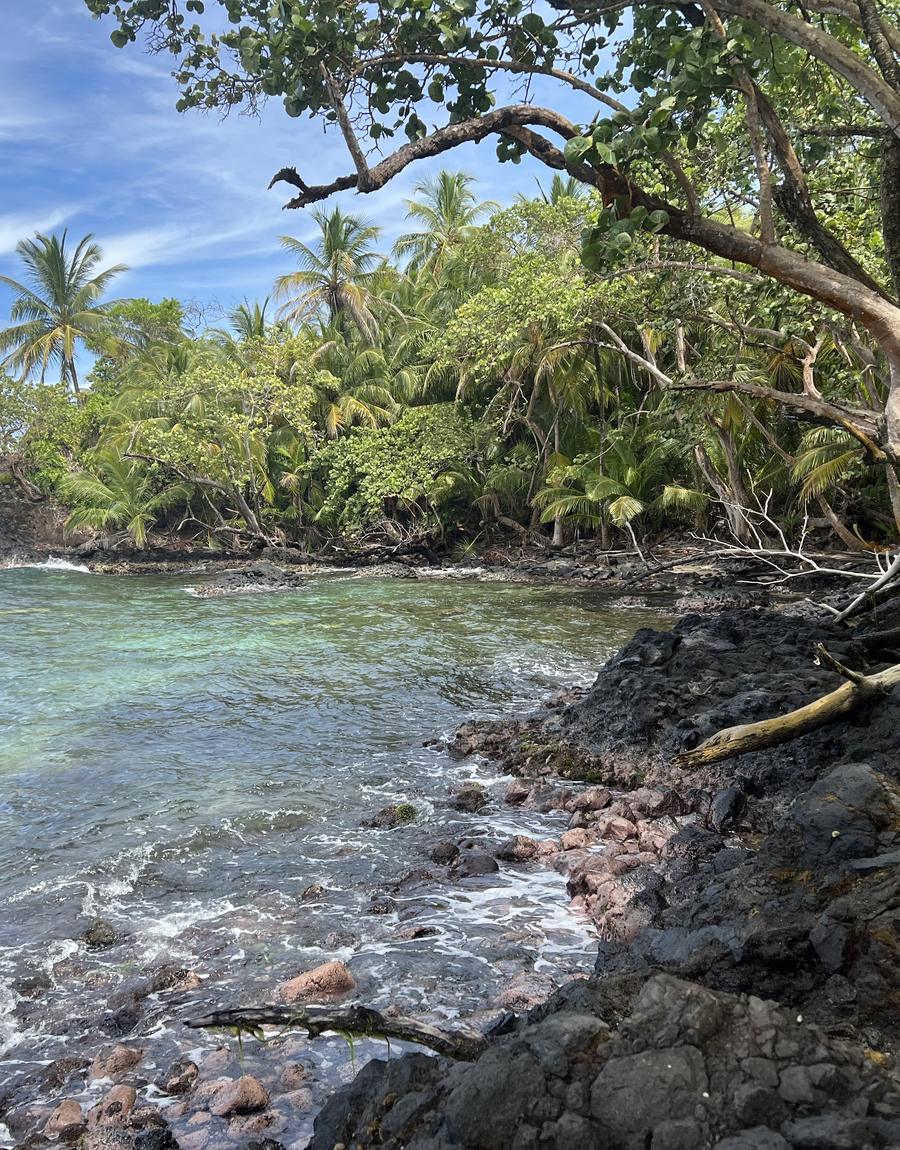 Rocky jungle cove, Isla Carenero